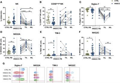 Impaired intratumoral natural killer cell function in head and neck carcinoma